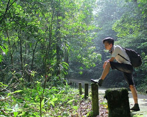 adventure-forest-man-outdoors