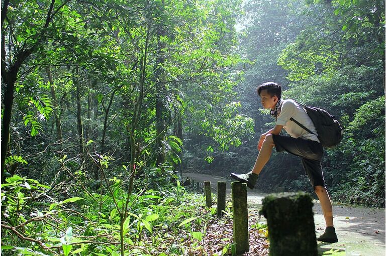 adventure-forest-man-outdoors