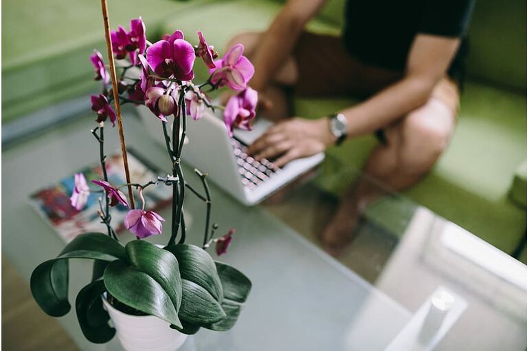 interior-workspace-workplace-tech